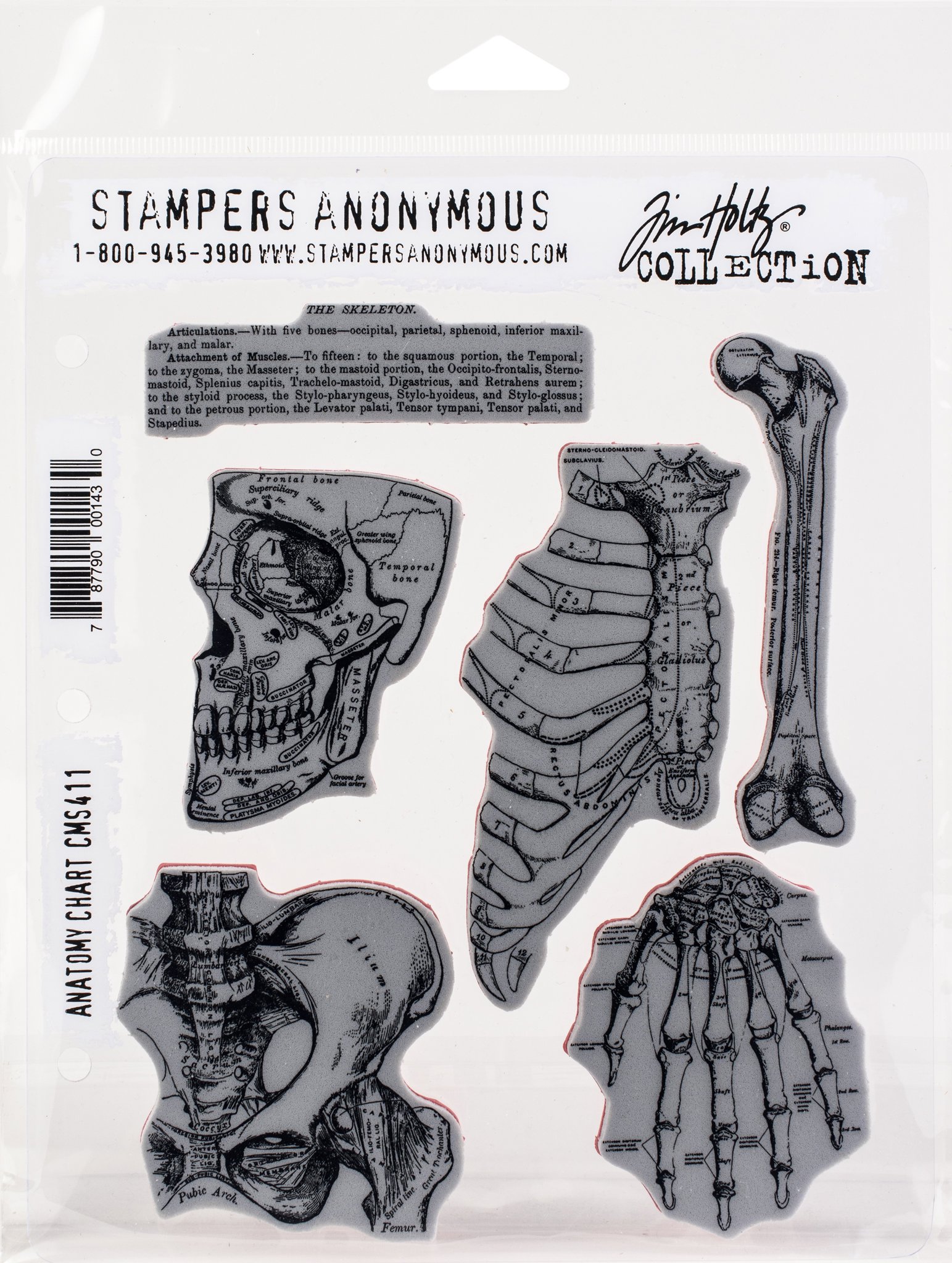 Bild von Tim Holtz Cling Stamps 7"X8.5"-Anatomy Chart