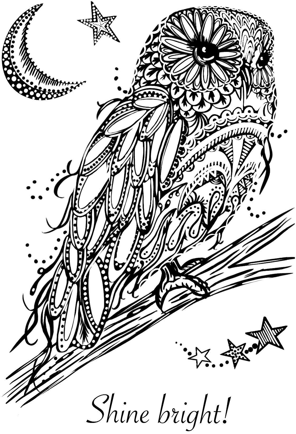 Bild von Creative Expressions Designer Boutique Clear Stamp 6"X4"-Doodle Owl